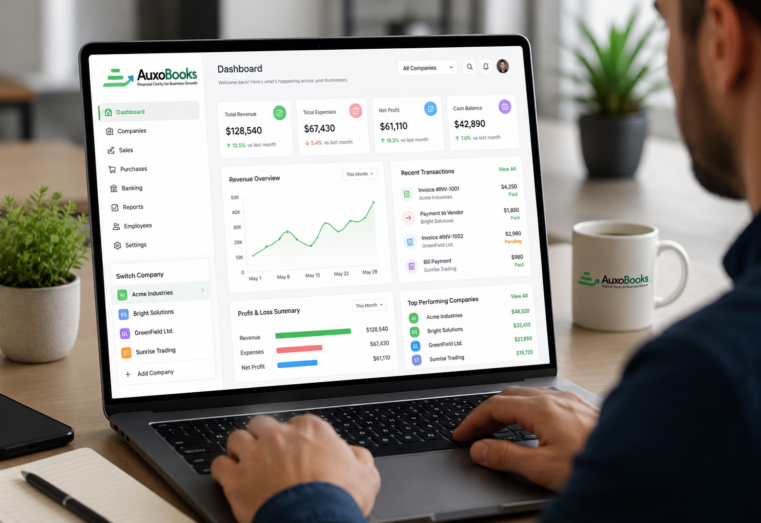 AuxoBooks multiple companies management