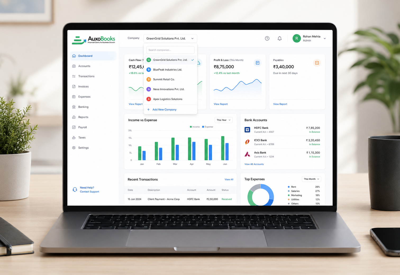AuxoBooks separate business books and reporting